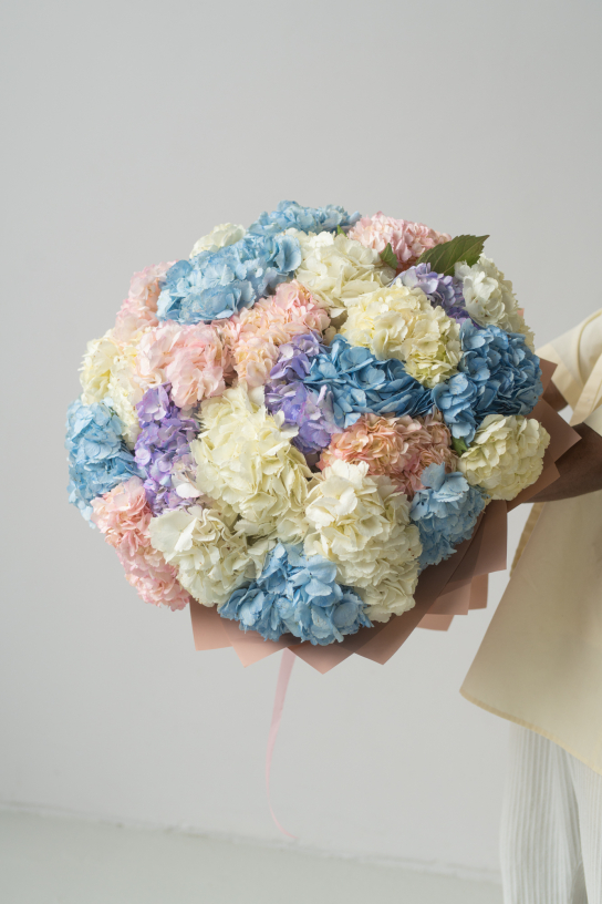 КОЛУМБИЙСКАЯ ГОРТЕНЗИЯ ПО СУПЕР ЦЕНЕ!