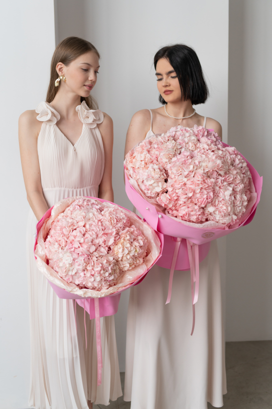 ГОРТЕНЗИЯ, КОТОРУЮ ВЫ ЛЮБИТЕ — СНОВА ВАША ПО ГОРЯЧЕЙ ЦЕНЕ!